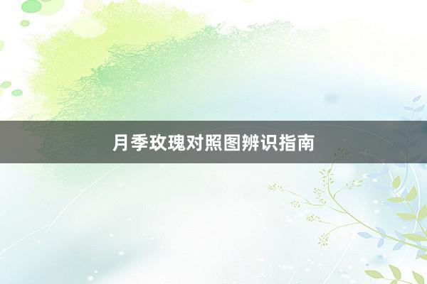 月季玫瑰对照图辨识指南