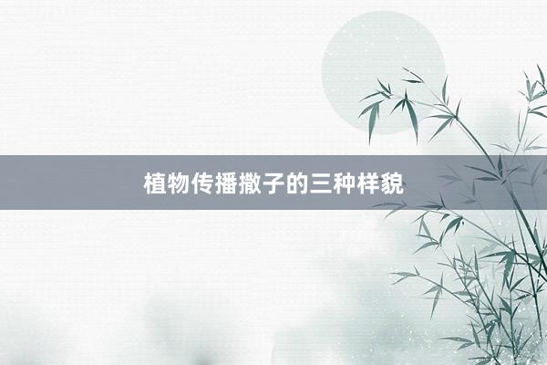 植物传播撒子的三种样貌